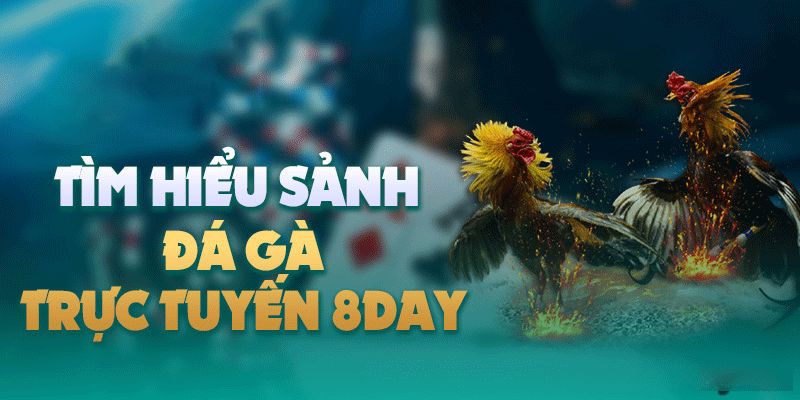 Các hình thức đá gà tại nhà cái 8day