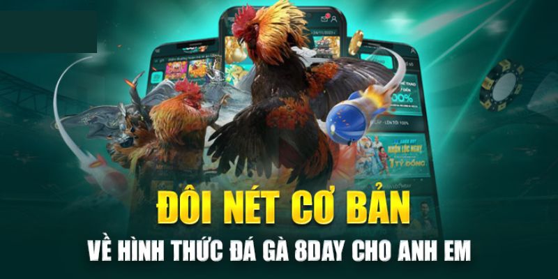 Tổng hợp các kèo cược tại đá gà 8day