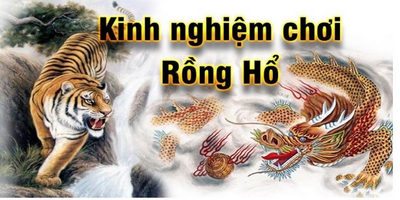 Chia sẻ mẹo đánh bài rồng hổ như cao thủ