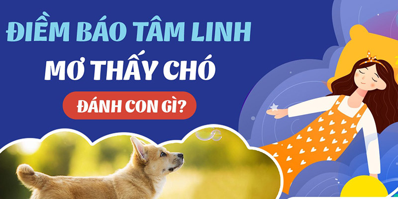 Giải mã mơ thấy chó đánh con gì theo từng trường hợp