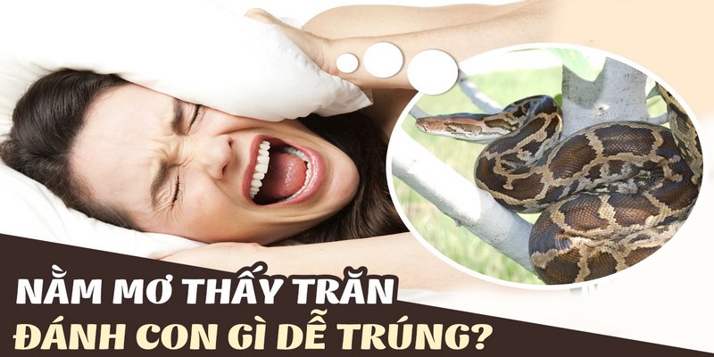 Chiêm bao thấy trăn quấn người