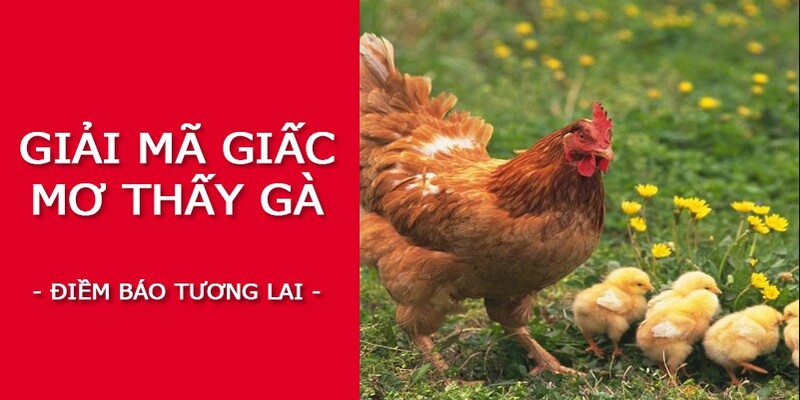 Giải mã một vài giấc mơ thường thấy về gà