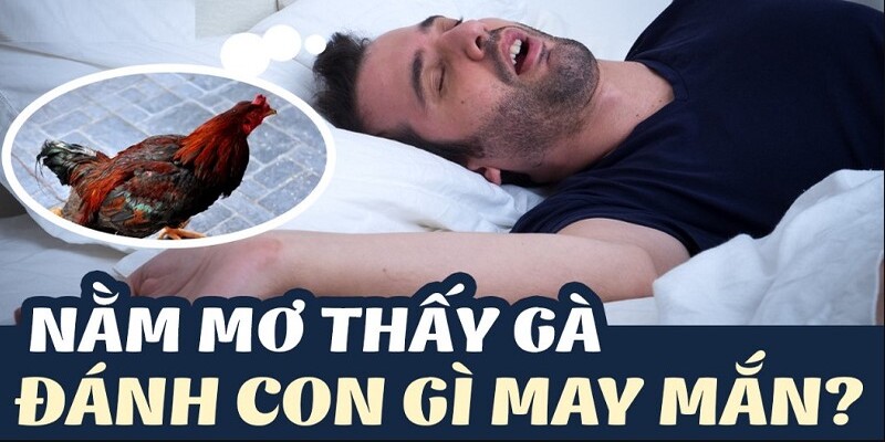 Tổng quan khi nằm mơ thấy gà